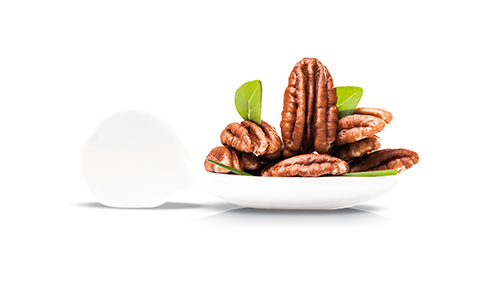 Noix de pécan – Image 2